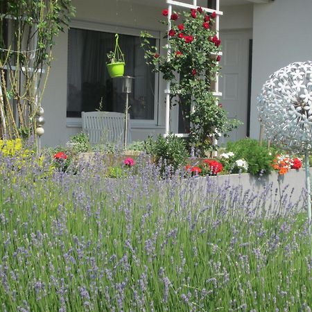 Apartament Sekt & Wein - Walter Klein Illmitz Zewnętrze zdjęcie